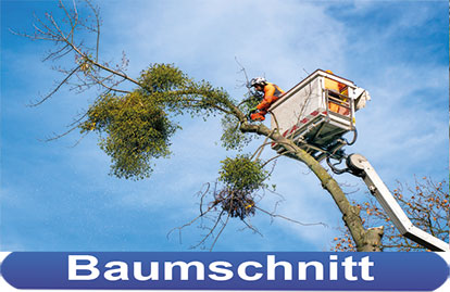 30+ Garten Und Bauservice Braunschweig Teichstraße 1, ☆☆☆